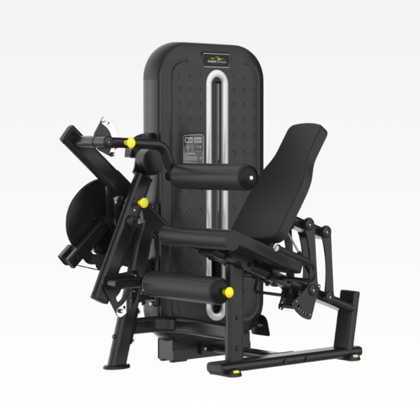 Leg Curl / Leg Extension MG-02 (Maggnum Series)