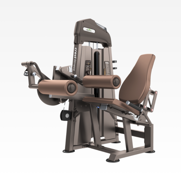 Leg Curl / Leg Extension Gl 02 (Galaxy Series)